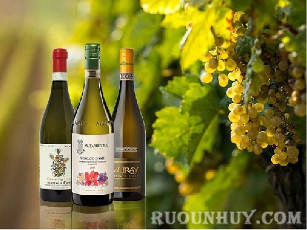 Rượu vang trắng Ý Moscato D’Asti nằm trong các dòng rượu vang trắng đắt đỏ