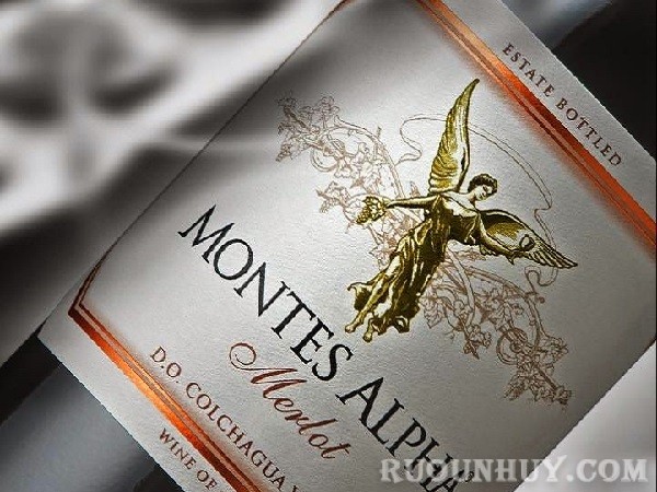 Rượu Vang Montes Alpha M - chai rượu vang ngon giá rẻ cho dân văn phòng