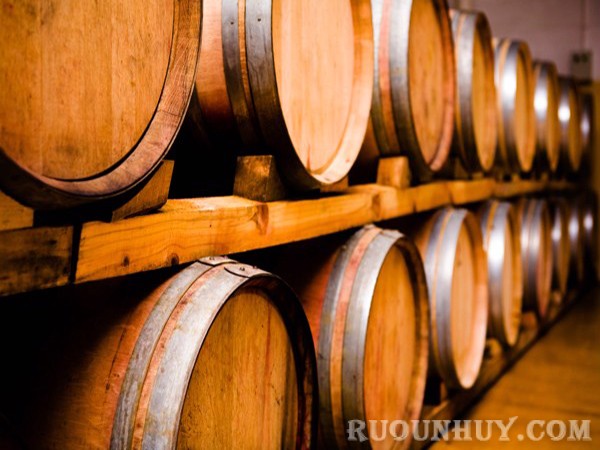 Tại sao lại ngâm rượu vang bằng thùng gỗ sồi?