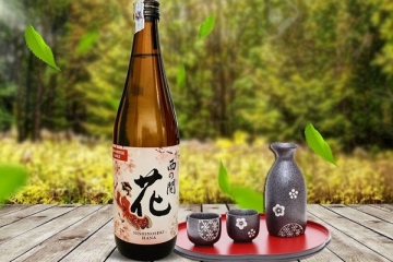 Rượu Sake là gì? Cách thưởng thức rượu Sake đúng chuẩn người Nhật