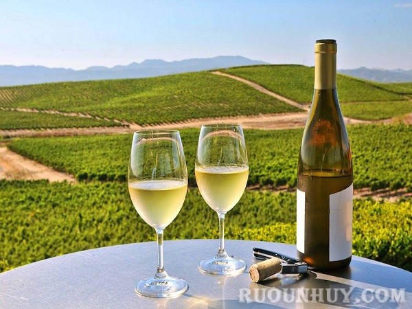 Vang trắng Korta Color Sauvignon Blanc là một trong 6 chai rượu vang trắng mùa hè được giới "sành vang" yêu thích nhất