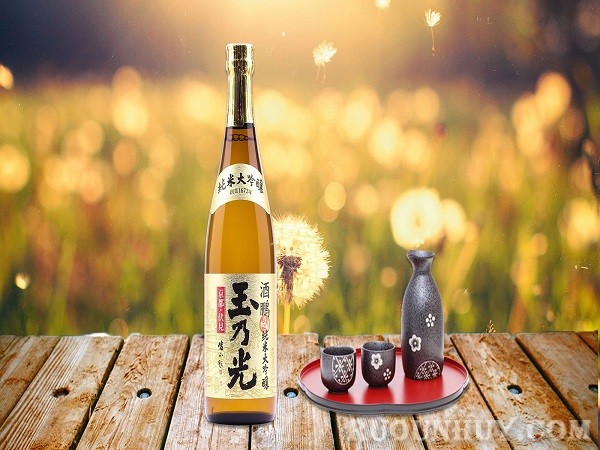 Rượu Sake (Nihonshu) là một trong các loại rượu gạo Nhật Bản nổi tiếng hiện nay