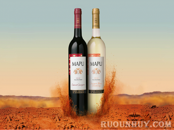 Rượu vang Mapu Cabernet Sauvignon là một trong 10 chai rượu vang Tết thơm ngon nổi tiếng nhất