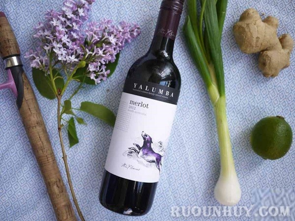 Rượu vang Yalumba Y Series Merlot một trong những chai rượu vang Úc được ưa chuộng nhất hiện nay
